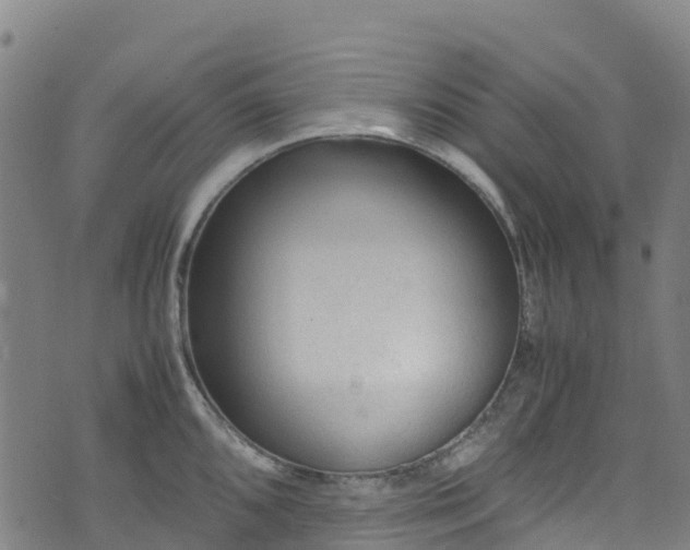 X0000072501096200607211243