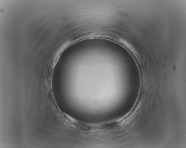 X0000072501097200607211243