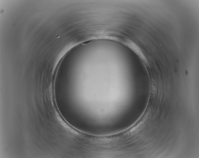 X0000072501100200607211243