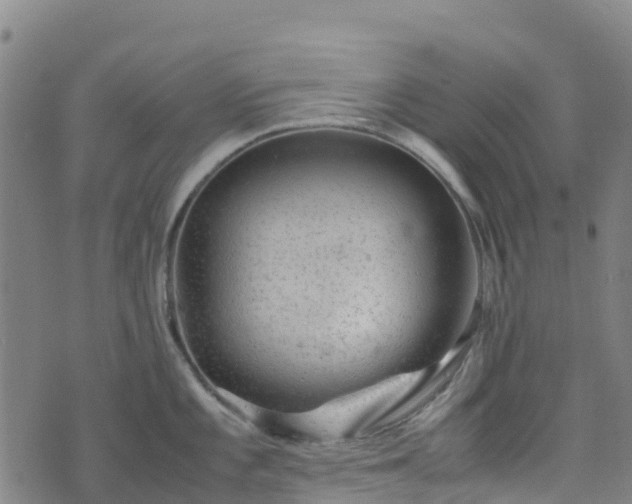 X0000072501101200607211243