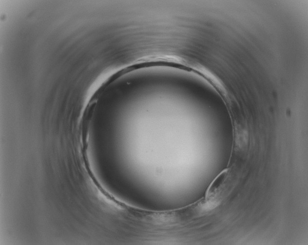 X0000072501102200607211243