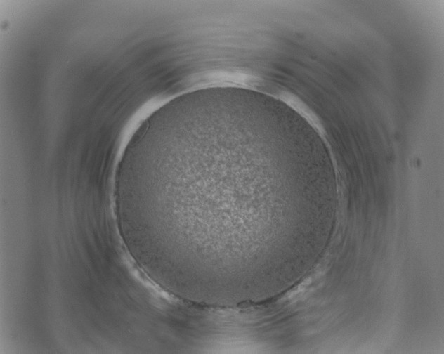 X0000072501104200607211243