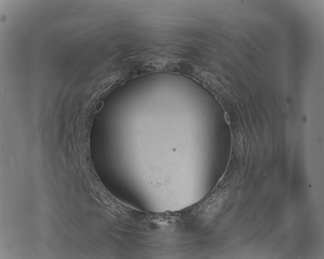 X0000072501105200607211242