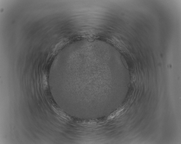 X0000072501106200607211242