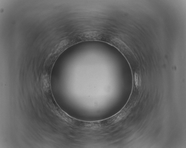 X0000072501107200607211242