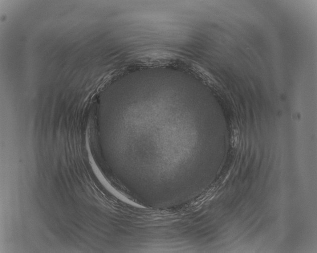 X0000072501108200607211242