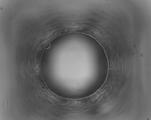 X0000072501109200607211242