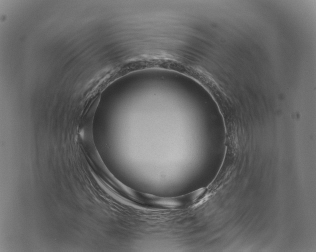 X0000072501110200607211242