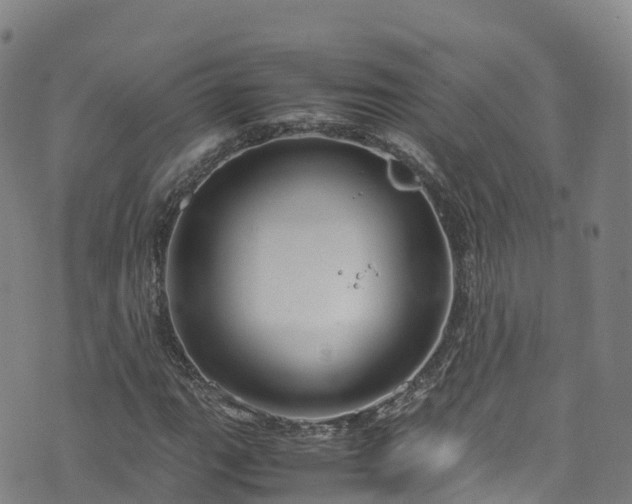 X0000072501111200607211242