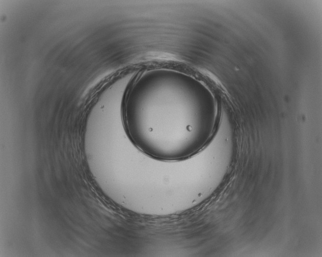 X0000072501112200607211242