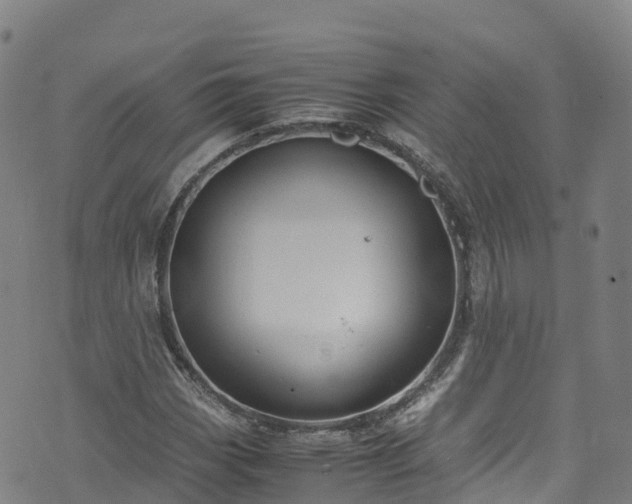 X0000072501113200607211242