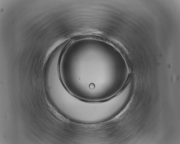 X0000072501114200607211242