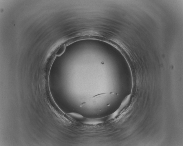 X0000072501115200607211242