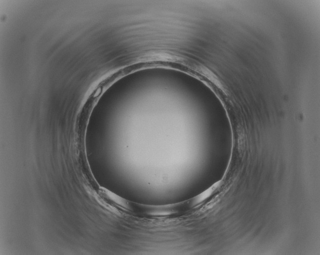 X0000072501116200607211242