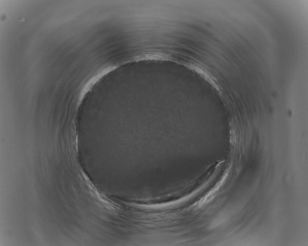 X0000072501117200607211242