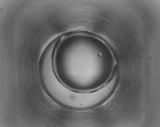 X0000072501118200607211242