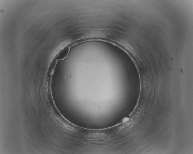 X0000072501119200607211242