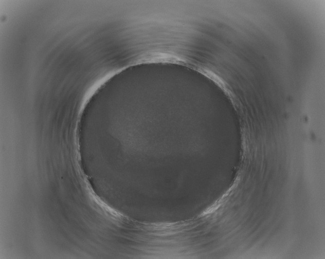 X0000072501120200607211242