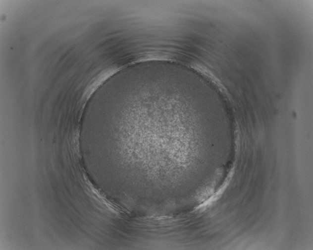 X0000072501121200607211242