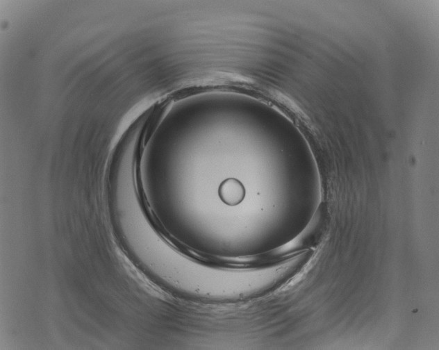 X0000072501122200607211242