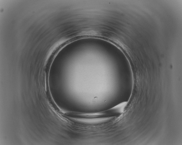 X0000072501123200607211242