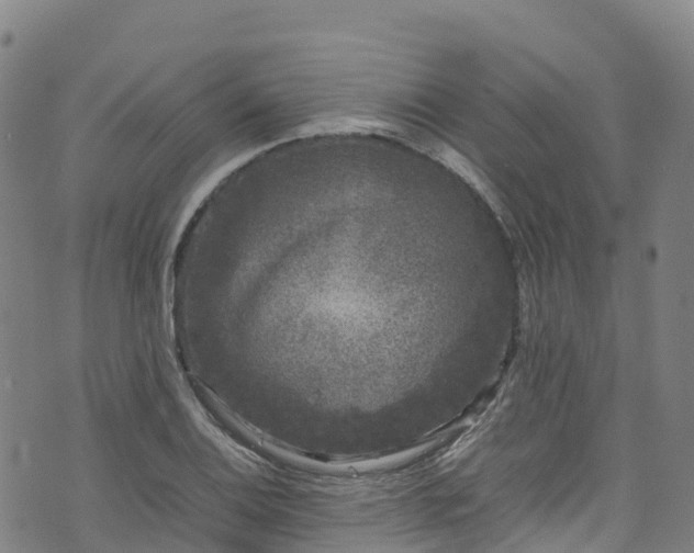 X0000072501124200607211242