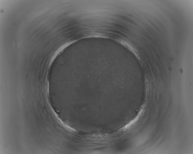 X0000072501125200607211242