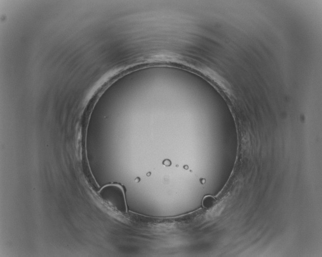 X0000072501126200607211242