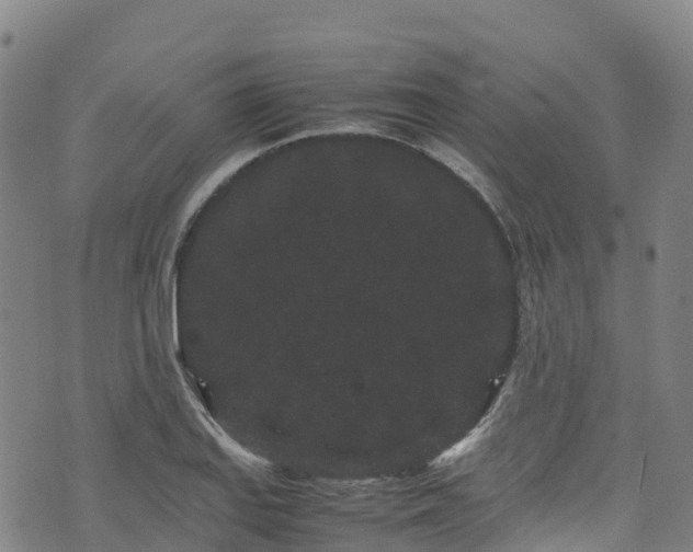 X0000072501127200607211242