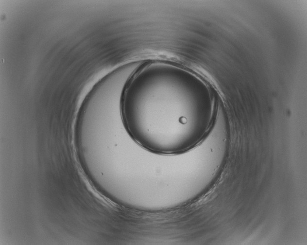 X0000072501128200607211242