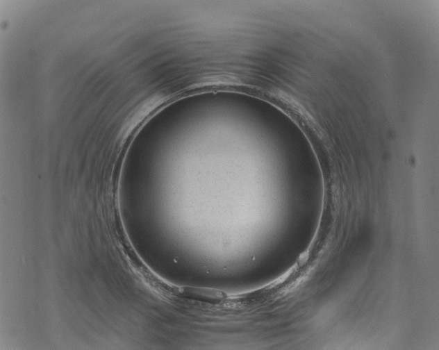 X0000072501129200607211242