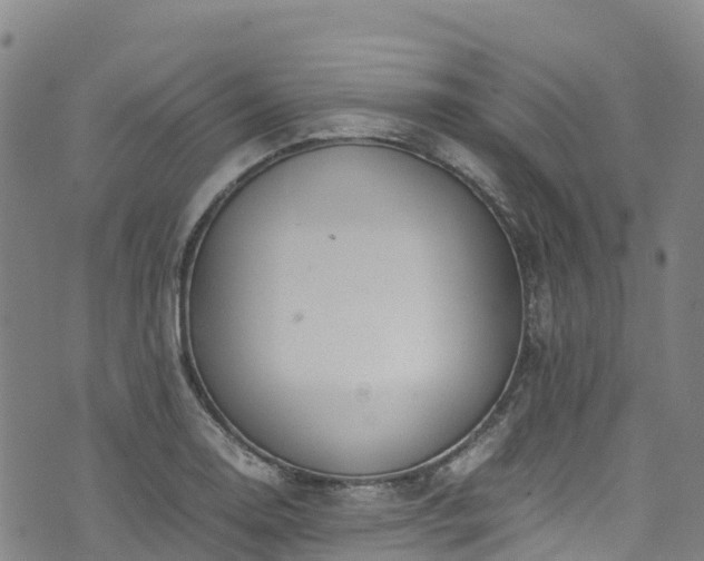 X0000072501130200607211242