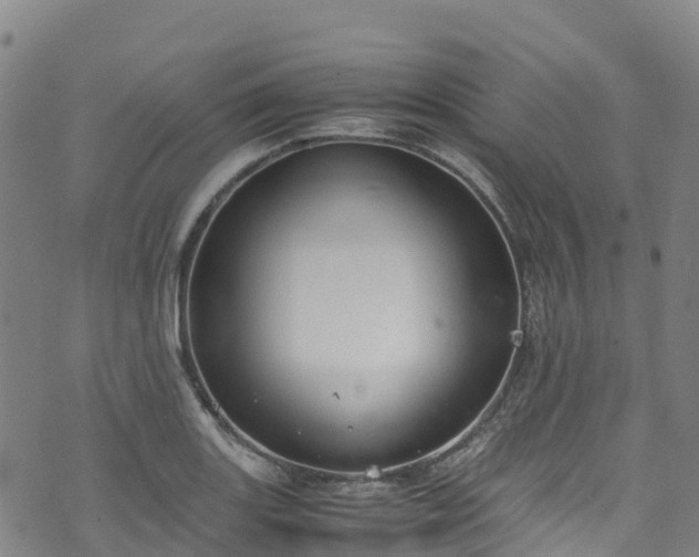 X0000072501131200607211243