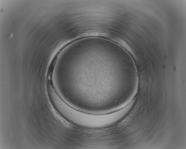 X0000072501132200607211243