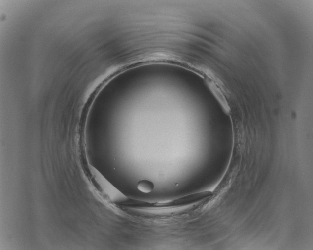 X0000072501134200607211243