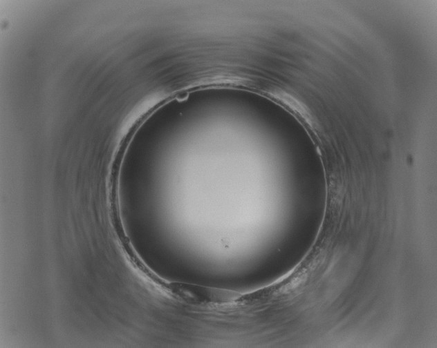 X0000072501135200607211243