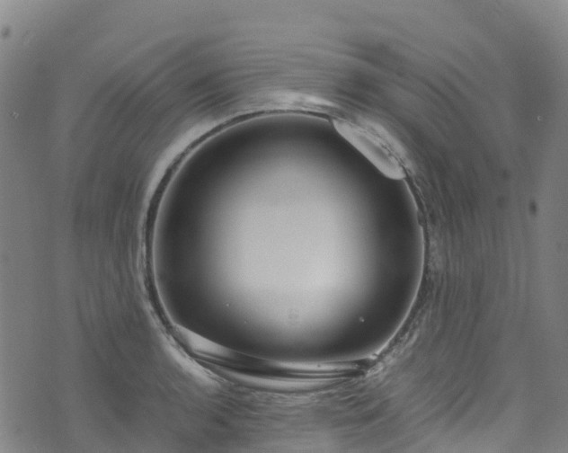 X0000072501136200607211243