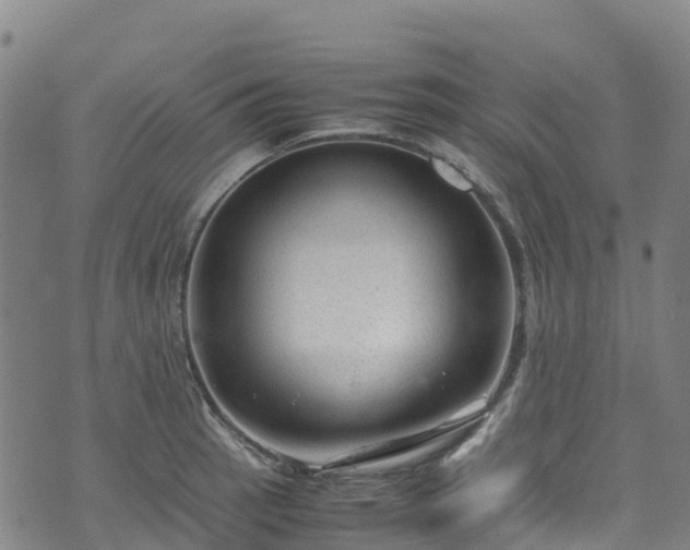 X0000072501137200607211243