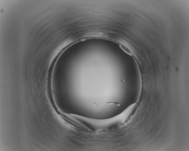 X0000072501139200607211243