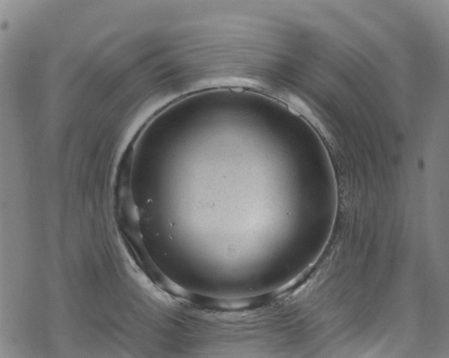 X0000072501140200607211243