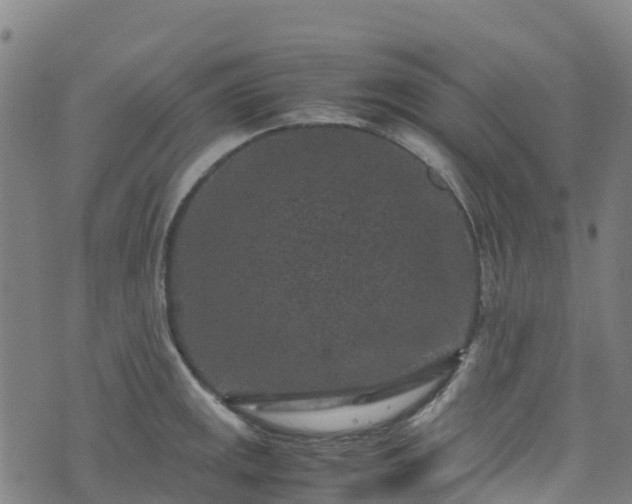 X0000072501141200607211243