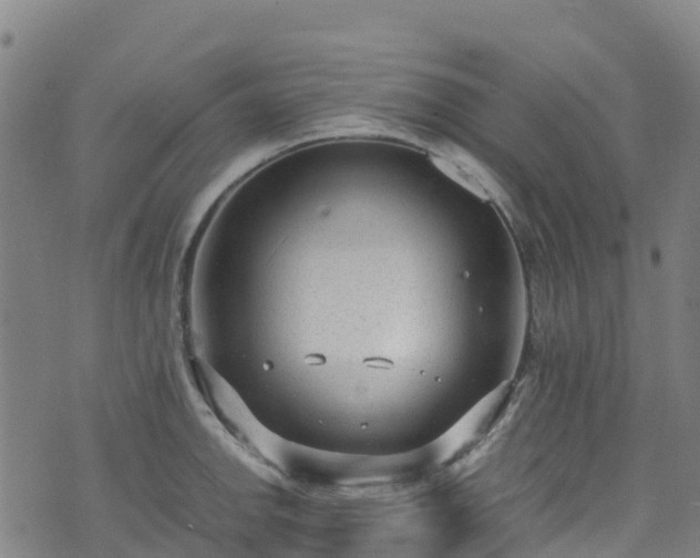 X0000072501142200607211243