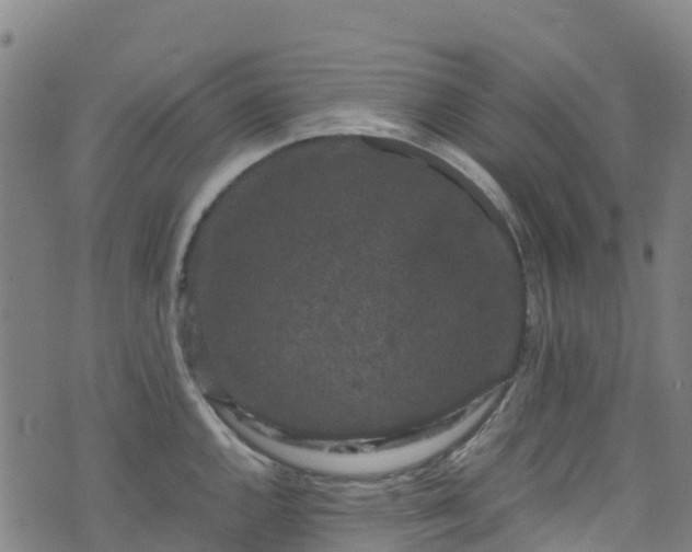 X0000072501144200607211243