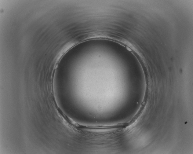 X0000072501145200607211243