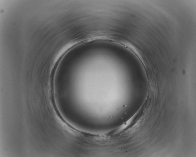 X0000072501147200607211243