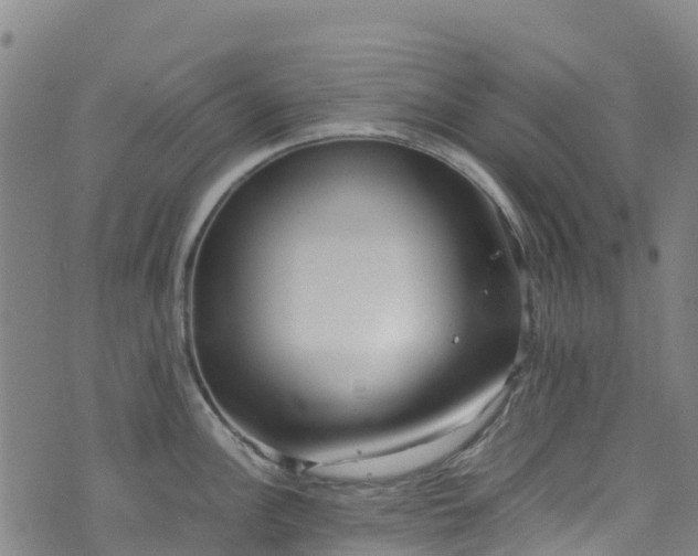 X0000072501148200607211243