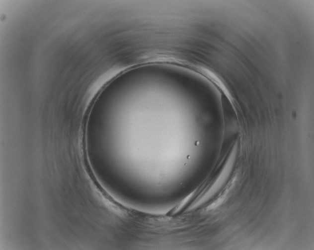 X0000072501149200607211243