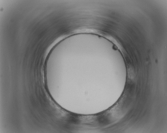 X0000072501150200607211243