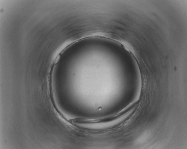 X0000072501151200607211243