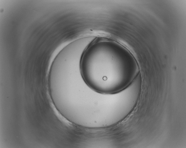 X0000072501152200607211243